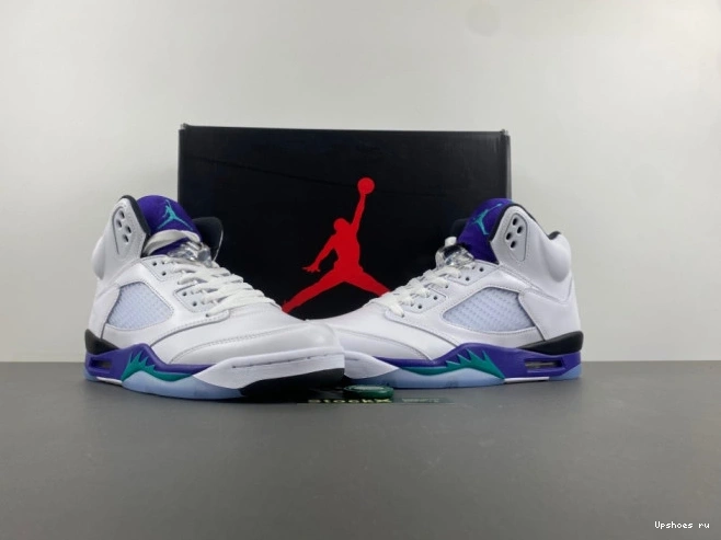 5 Jordan (2025)    Retro HQ7978-100 Grape  1103